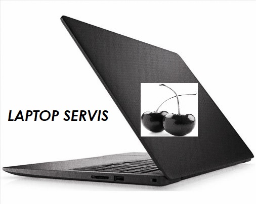 Laptop servis Visnja Logo